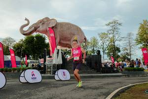 BIB: 
                            <button type="button" onclick="openModal(26529213)" class="btn btn-primary btn-sm float-right btn-popup" data-toggle="modal" data-target=".modal-high-quality">
                        <i class="fas fa-shopping-cart"></i> Add to Cart
                    </button>
                                            <button type="button" onclick="isThisMe(26529213, true)" class="btn btn-success btn-sm float-right btn-popup btn-isme hidden" data-toggle="tooltip" data-placement="bottom" title="นี่คือรูปของคุณใช่ไหม คลิกที่นี่เพื่อเอาเข้าอัลบั้ม">
                        <i class="fas fa-plus"></i> Add to album
                    </button>
                    <button type="button" onclick="isThisMe(26529213, false)" class="btn btn-warning btn-sm float-right btn-popup btn-isnotme hidden">
                        <i class="fas fa-ban"></i> Remove from album
                    </button>